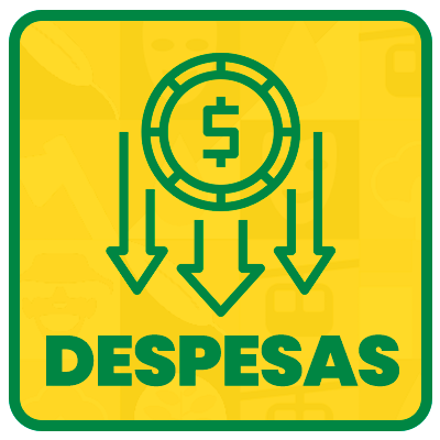 DESPESAS